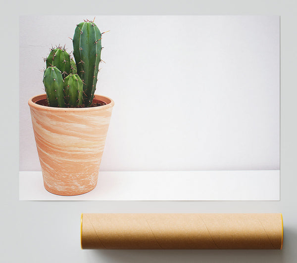 Terracotta Cactus Bloom Giclee Print
