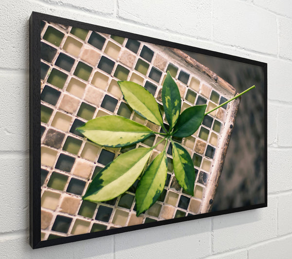 Green Leaf Mosaic