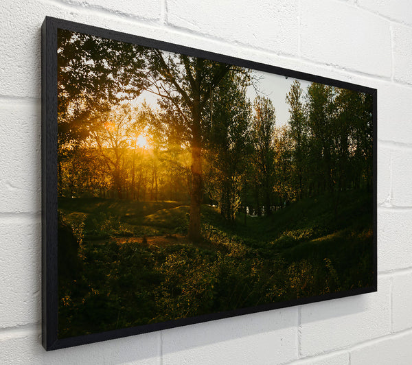 Golden Forest Glow