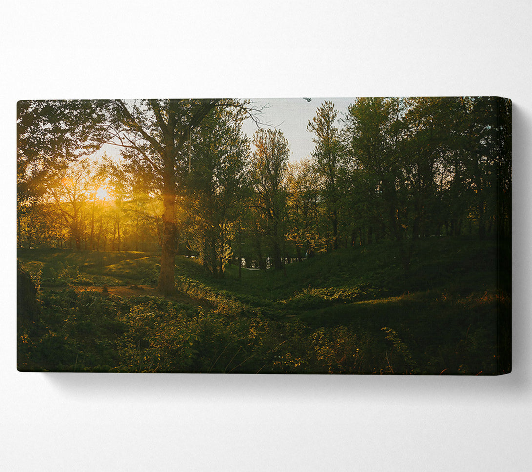  A Canvas Print of Golden Forest Glow Canvas Print