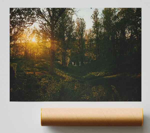 Golden Forest Glow Giclee Print