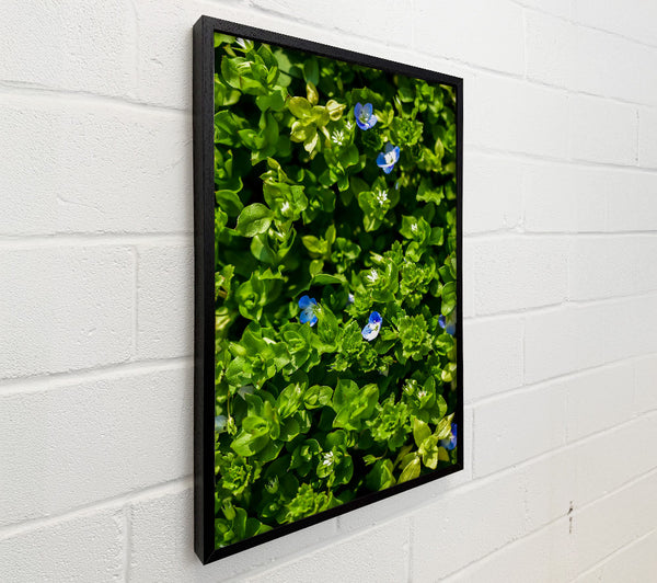 Green And Blue Blooms