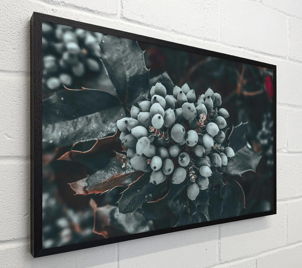 Silver Berry Cluster