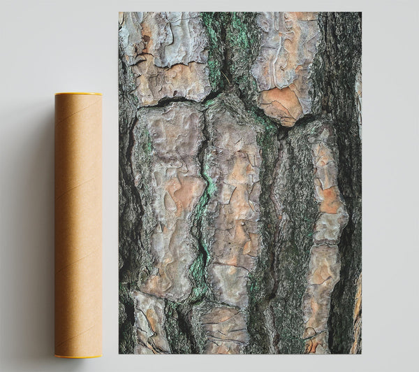 Green Lines And Bark Giclee Print