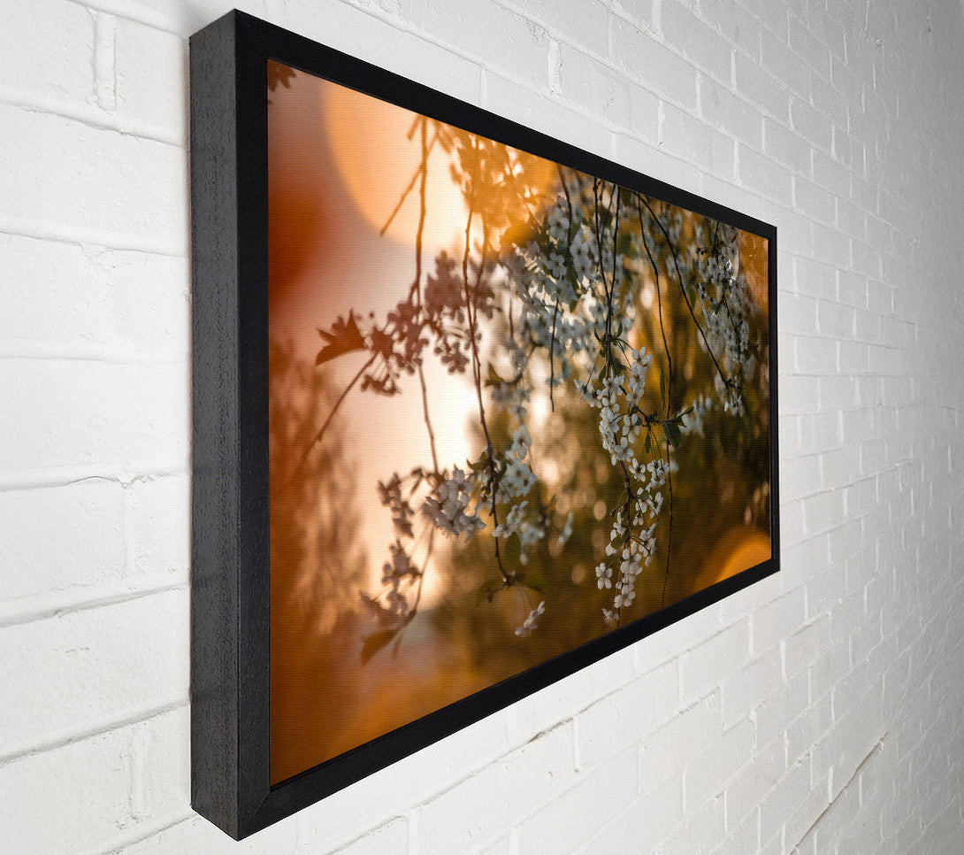  A Canvas Print of Golden Bloom Sunset Canvas Print