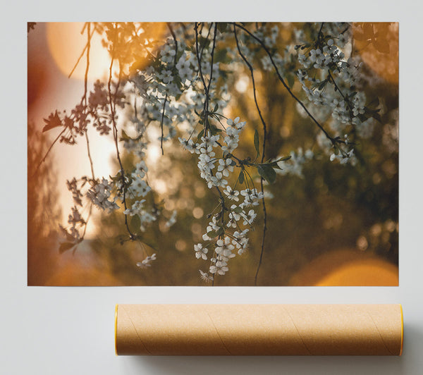 Golden Bloom Sunset Print