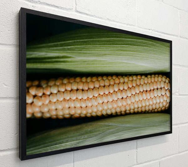 Golden Corn Husk