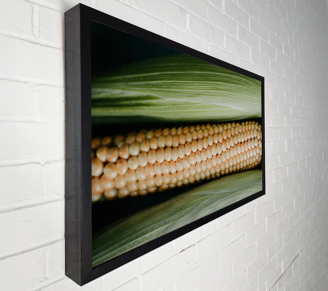  A Canvas Print of Golden Corn Husk Canvas Print