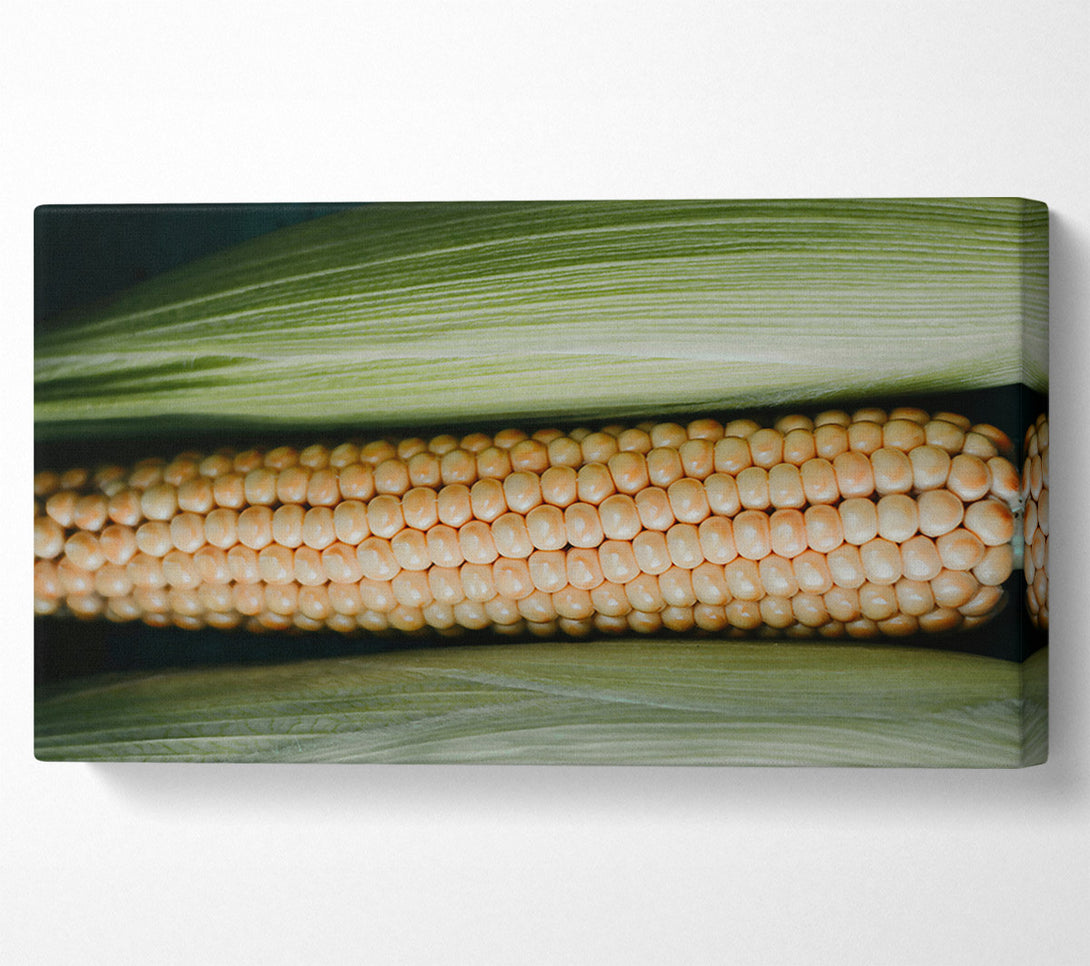  A Canvas Print of Golden Corn Husk Canvas Print