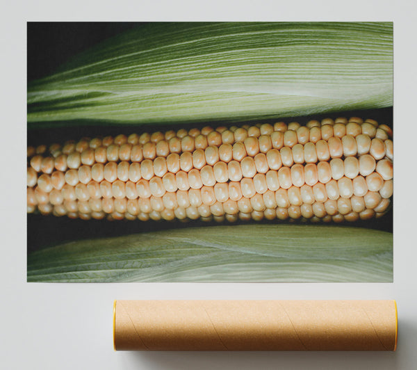 Golden Corn Husk Giclee Print