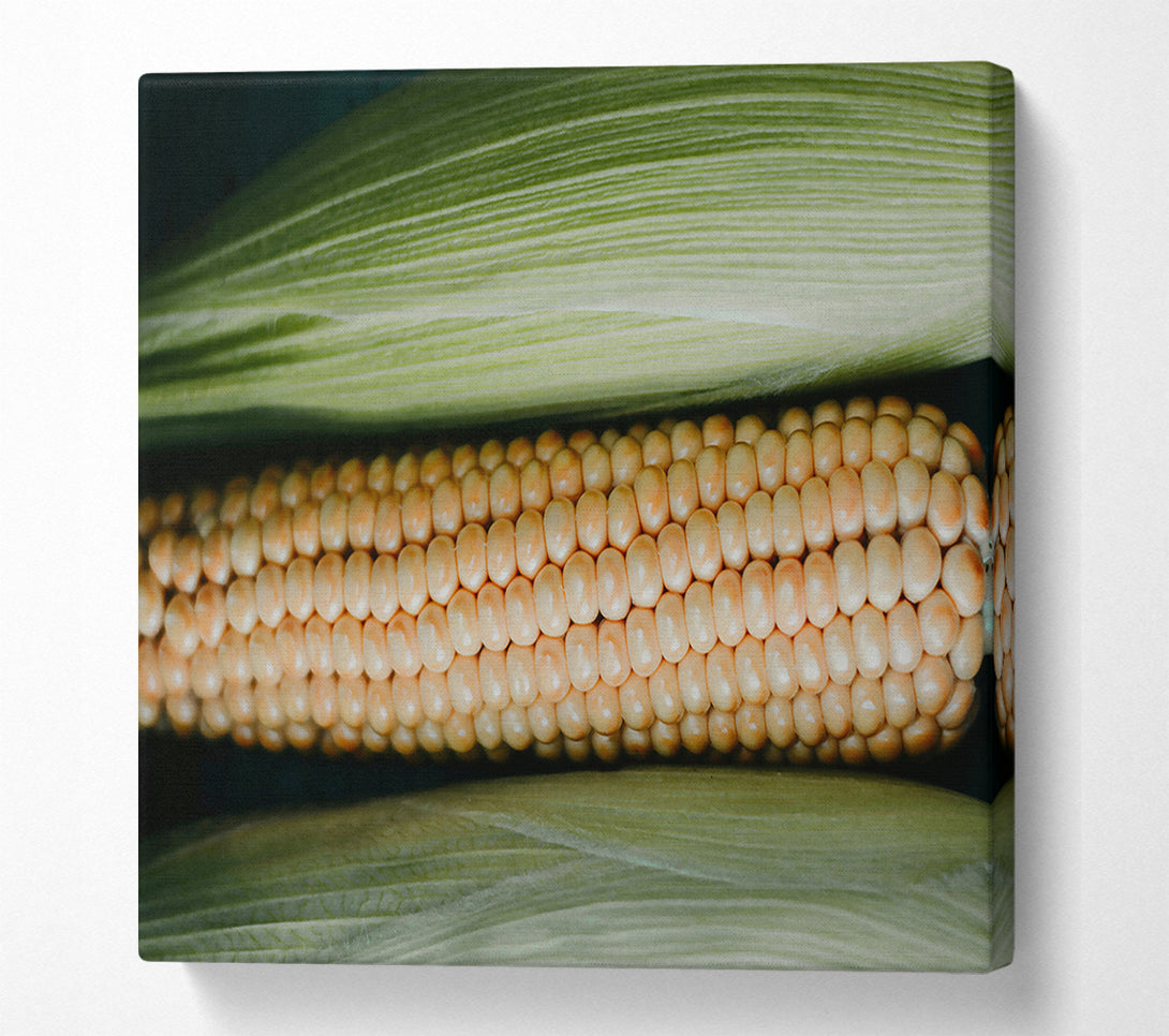  A Canvas Print of Golden Corn Husk Canvas Print