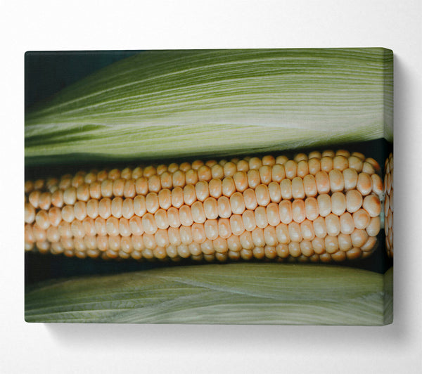  A Canvas Print of Golden Corn Husk Canvas Print