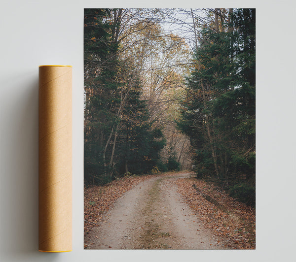 Autumn Forest Path Brown Giclee Print