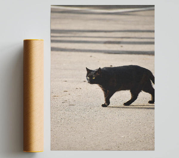 Black Cat Crossing Poster