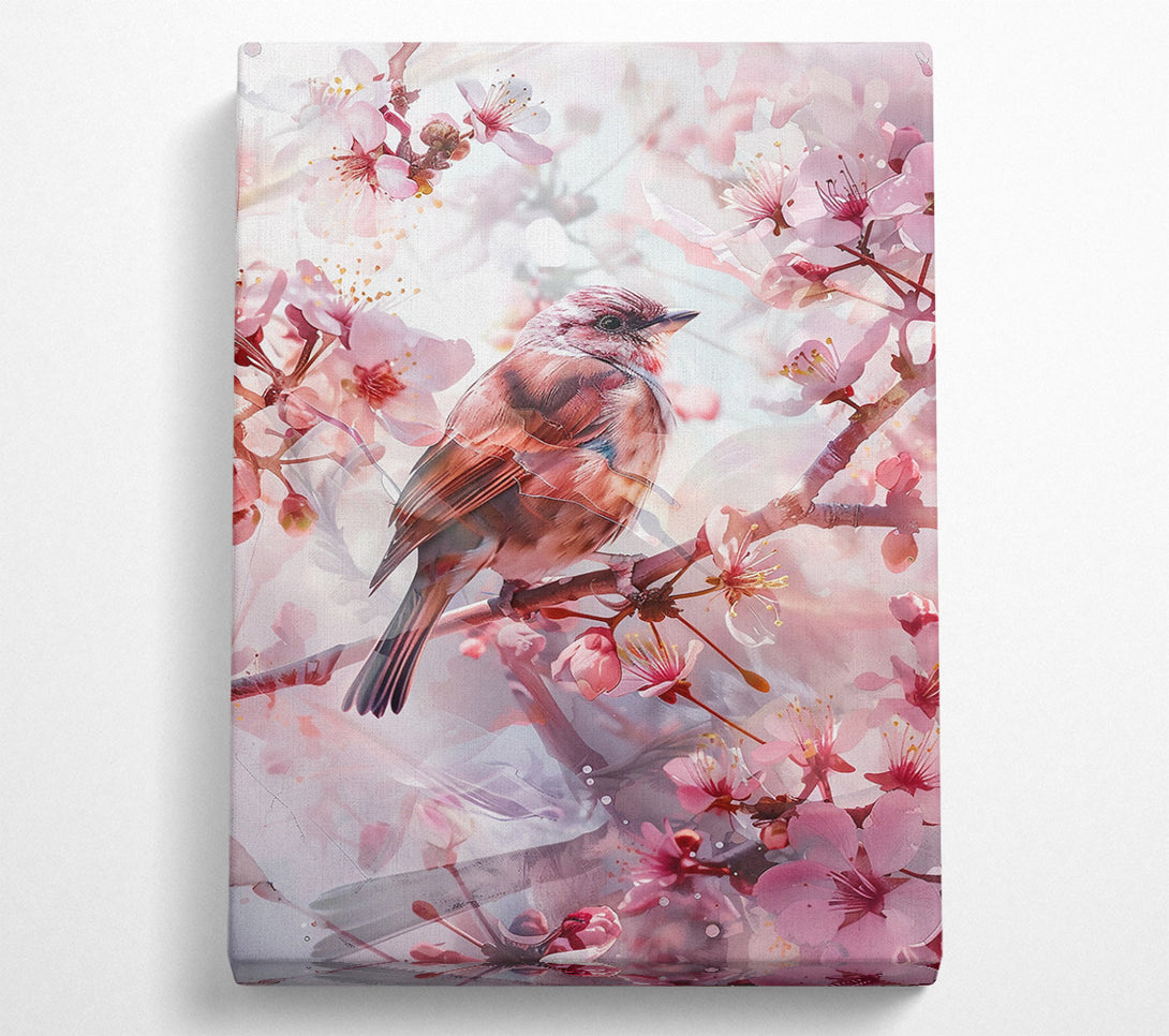  A Canvas Print of Pink Blossom Songbird Canvas Art