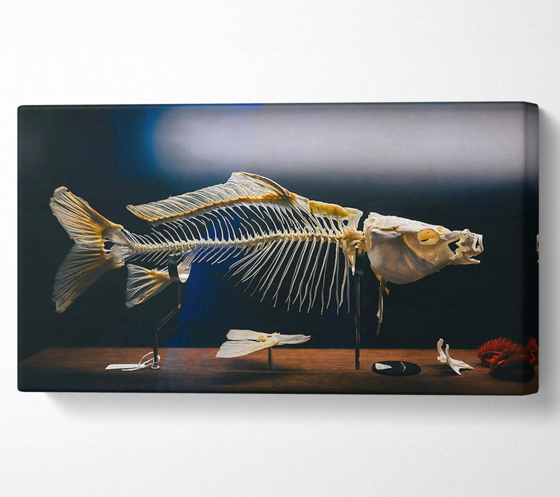  A Canvas Print of Ivory Fish Skeleton Canvas Print