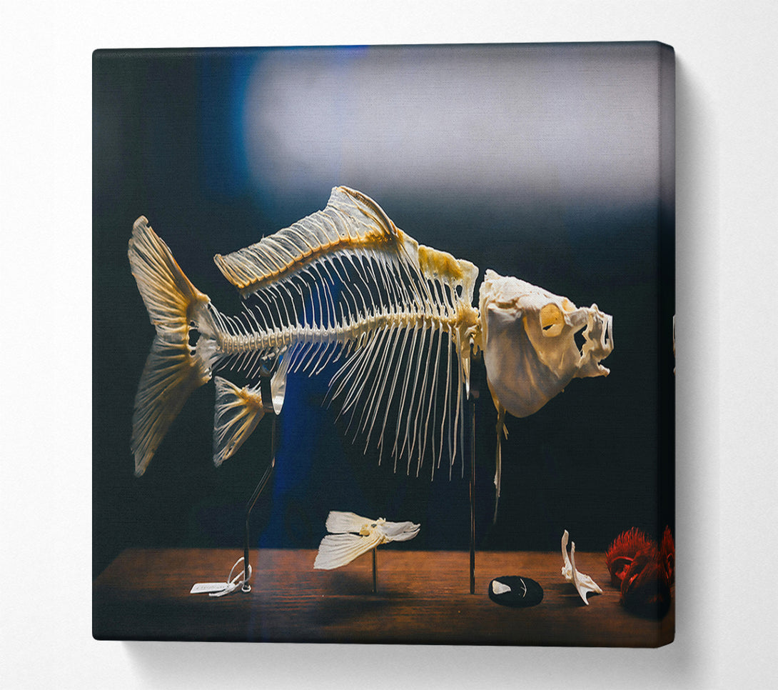  A Canvas Print of Ivory Fish Skeleton Canvas Print