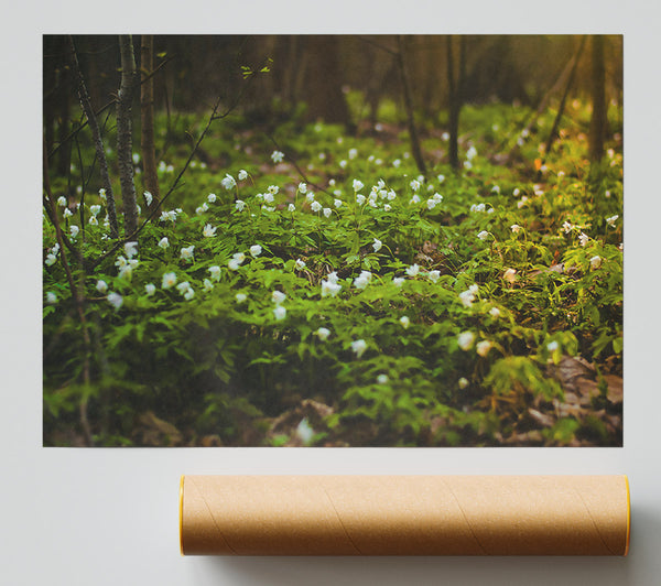 Green Forest Bloom Giclee Print