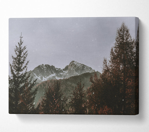  A Canvas Print of Grey Snow Peak Canvas Print