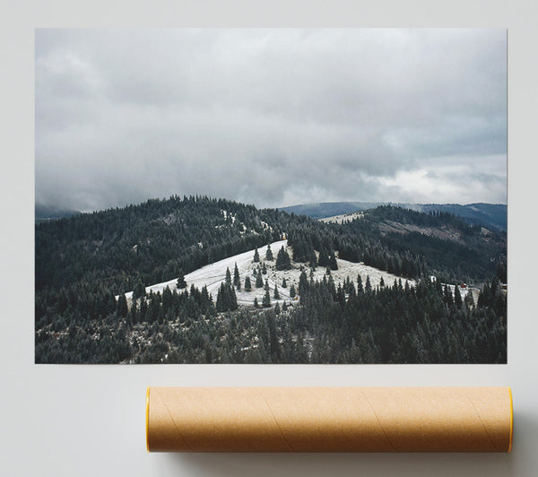 Grey Sky Over Pines Poster