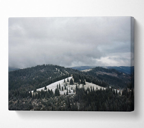  A Canvas Print of Grey Sky Over Pines Canvas Print