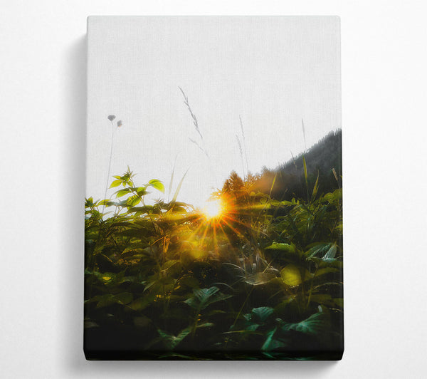  A Canvas Print of Golden Sunrise Through Foliage Canvas Wall Art