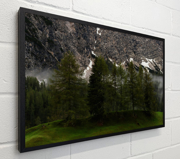 Green Foggy Mountainside