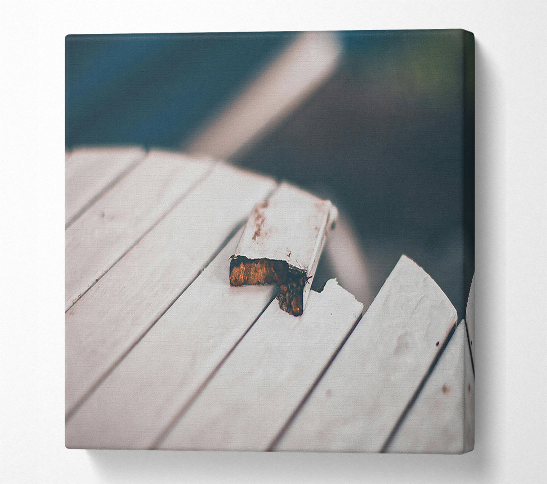  A Canvas Print of White Wood Bite Canvas Wall Art