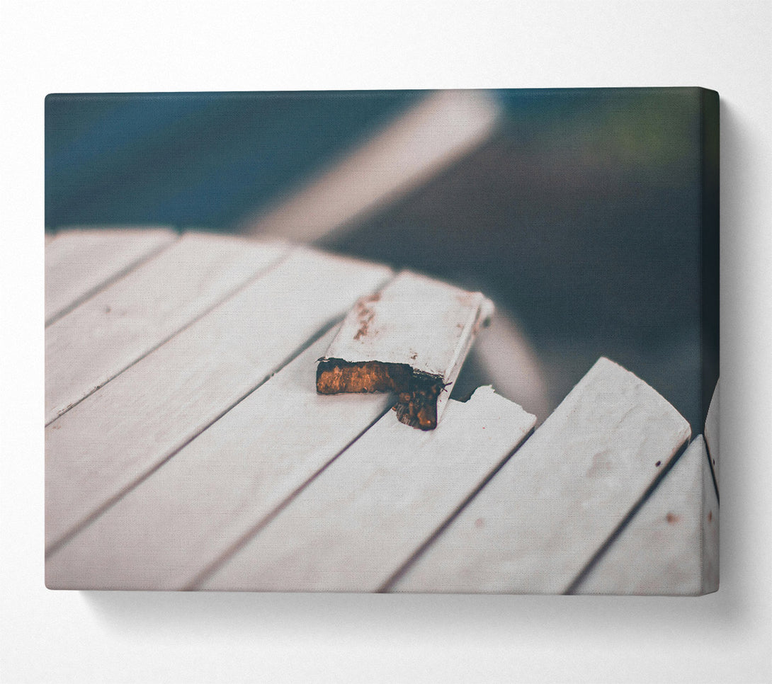  A Canvas Print of White Wood Bite Canvas Wall Art