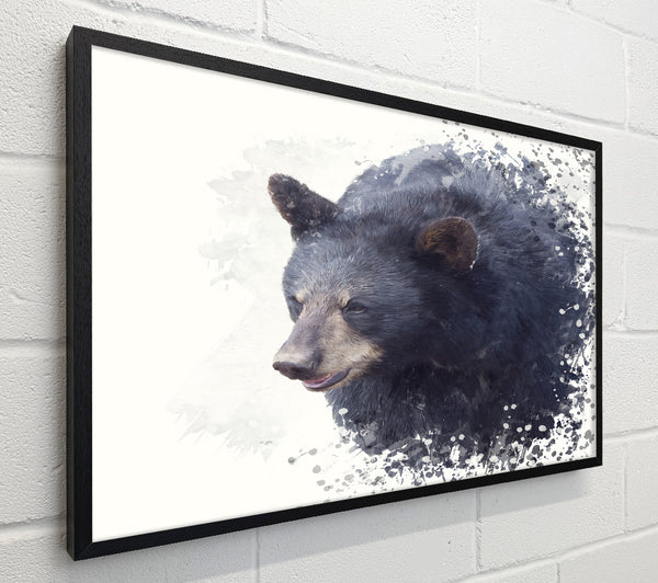 Bear Fuzz