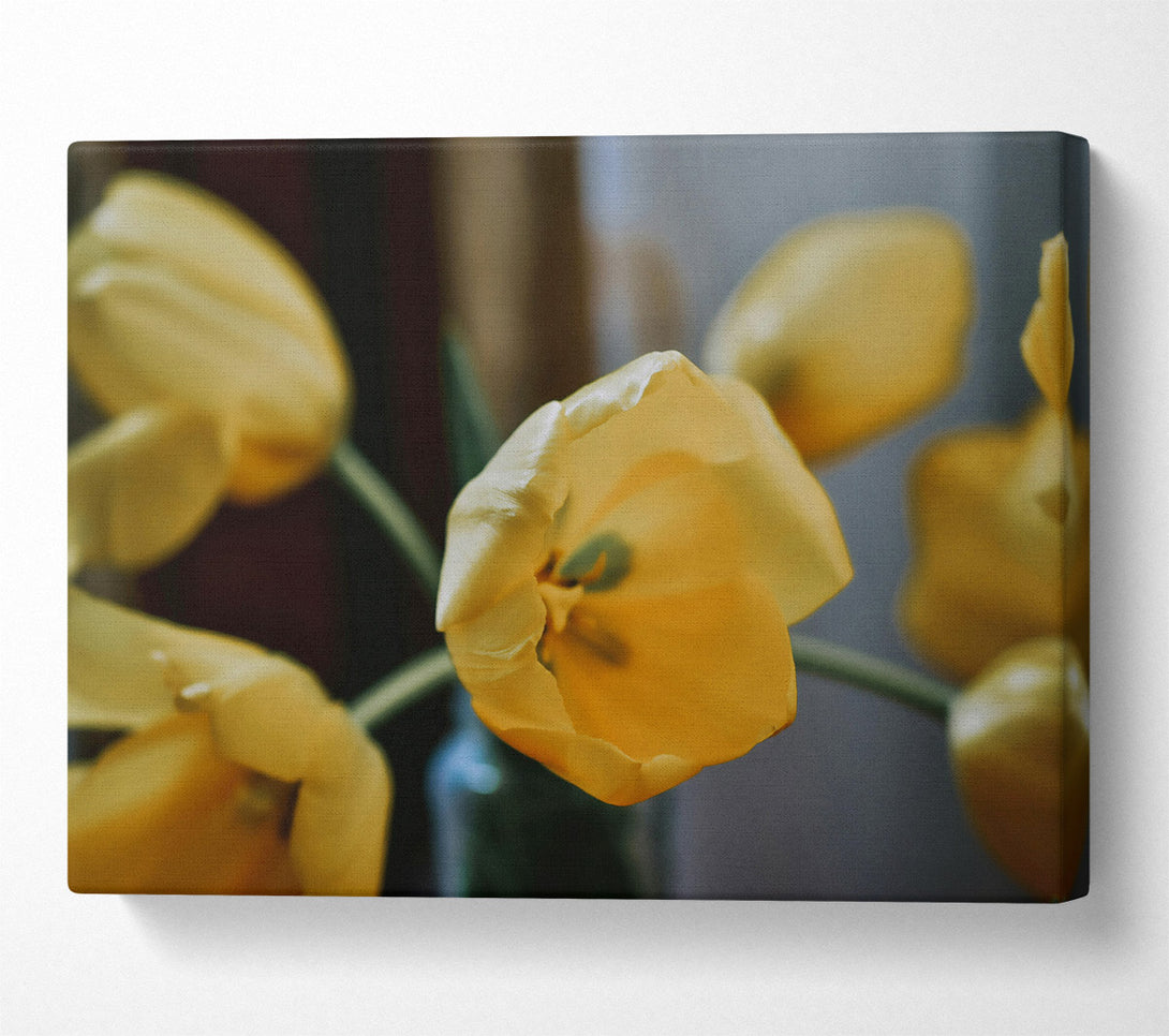  A Canvas Print of Golden Tulip Bloom Canvas Wall Art