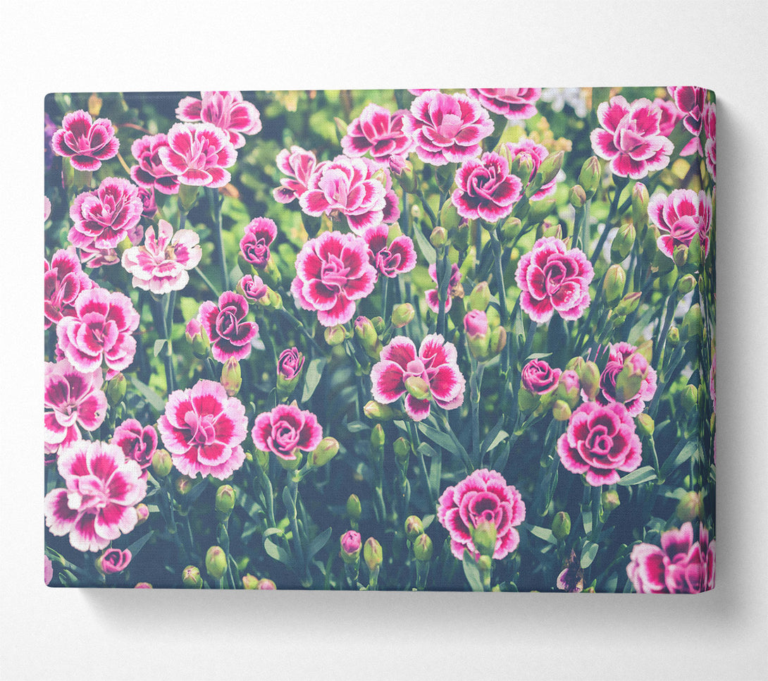  A Canvas Print of Pink Floral Bloom Canvas Art