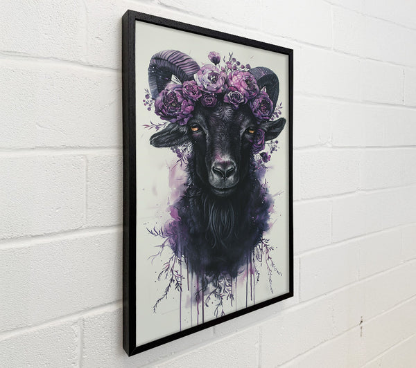 Beautiful Lilac Goat