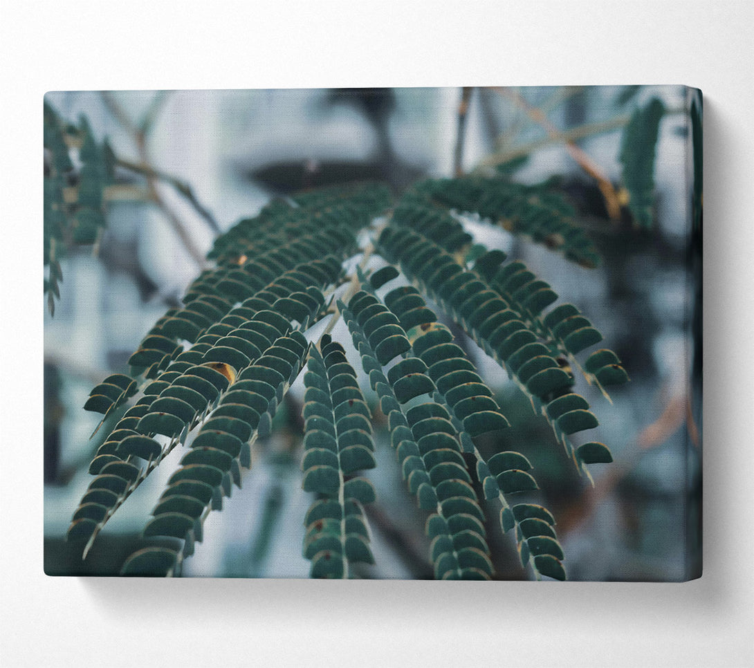  A Canvas Print of Emerald Leaf Symphony Canvas Art