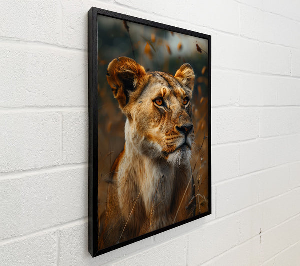 Beautiful Lioness