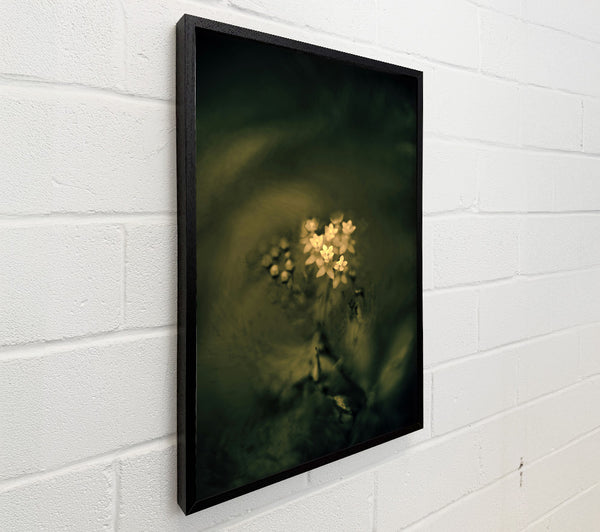 Emerald And White Bloom