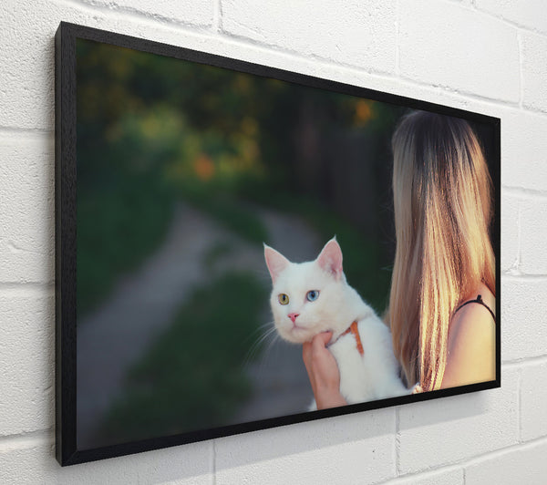Golden Cat Gaze