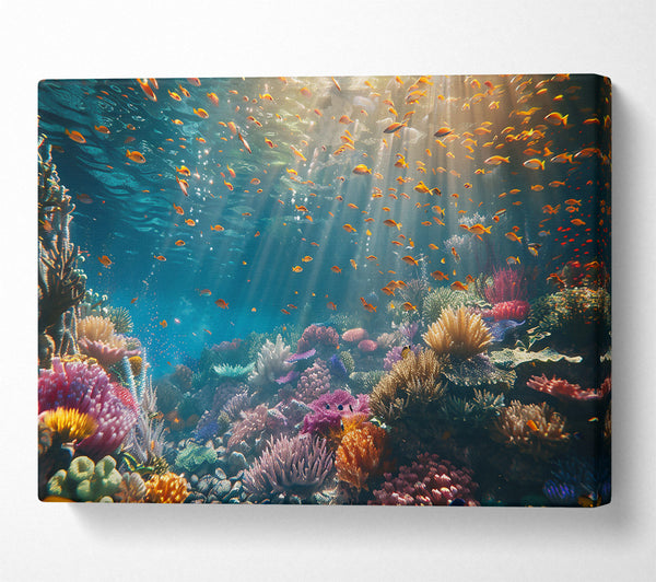  A Canvas Print of Blue Reef Paradise Canvas Wall Art