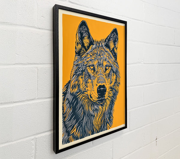Golden Wolf Gaze