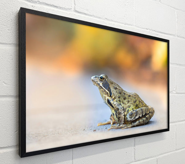 Golden Green Frog