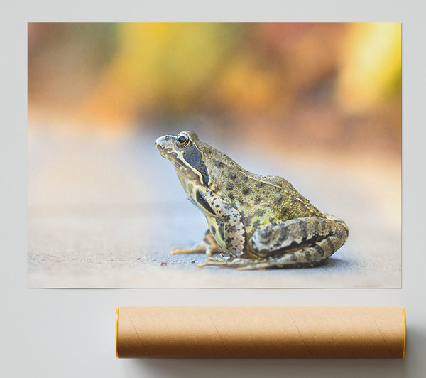 Golden Green Frog Giclee Print