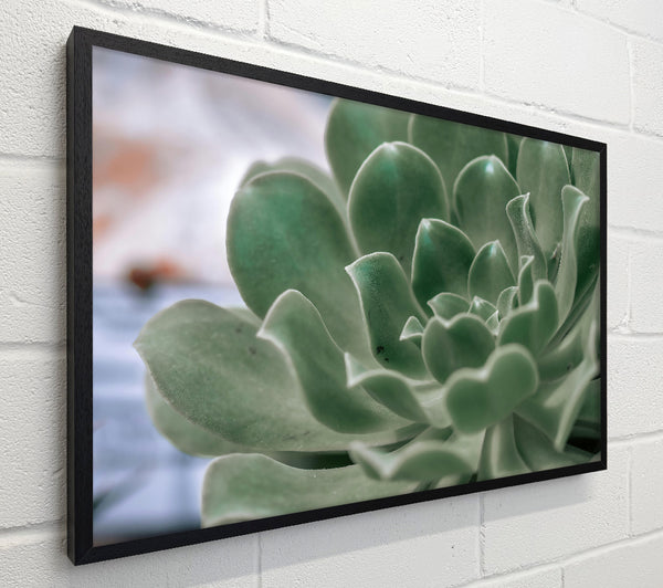 Emerald Succulent Bloom