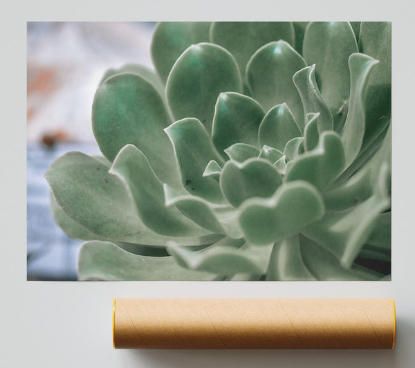 Emerald Succulent Bloom Print