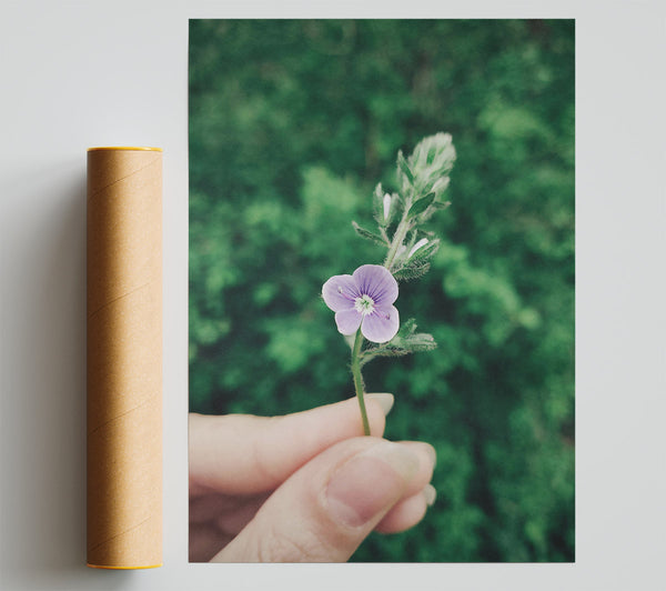 Lavender Bloom In Green Print
