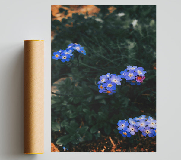 Blue Floral Embrace Giclee Print