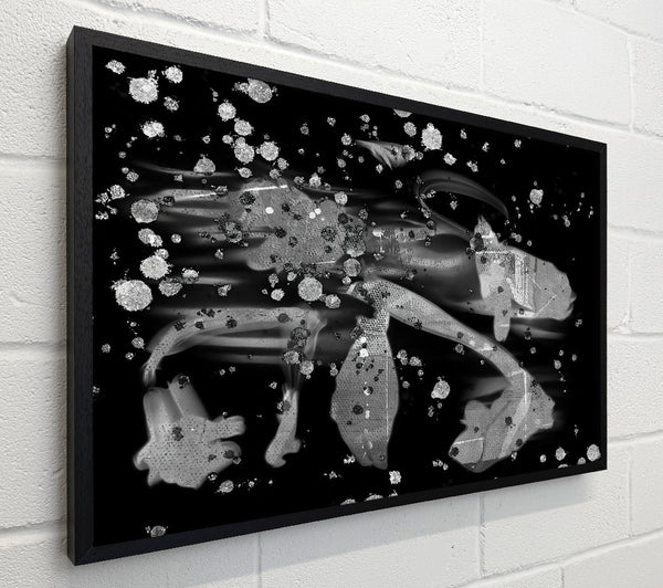 Silver Splotch Symphony
