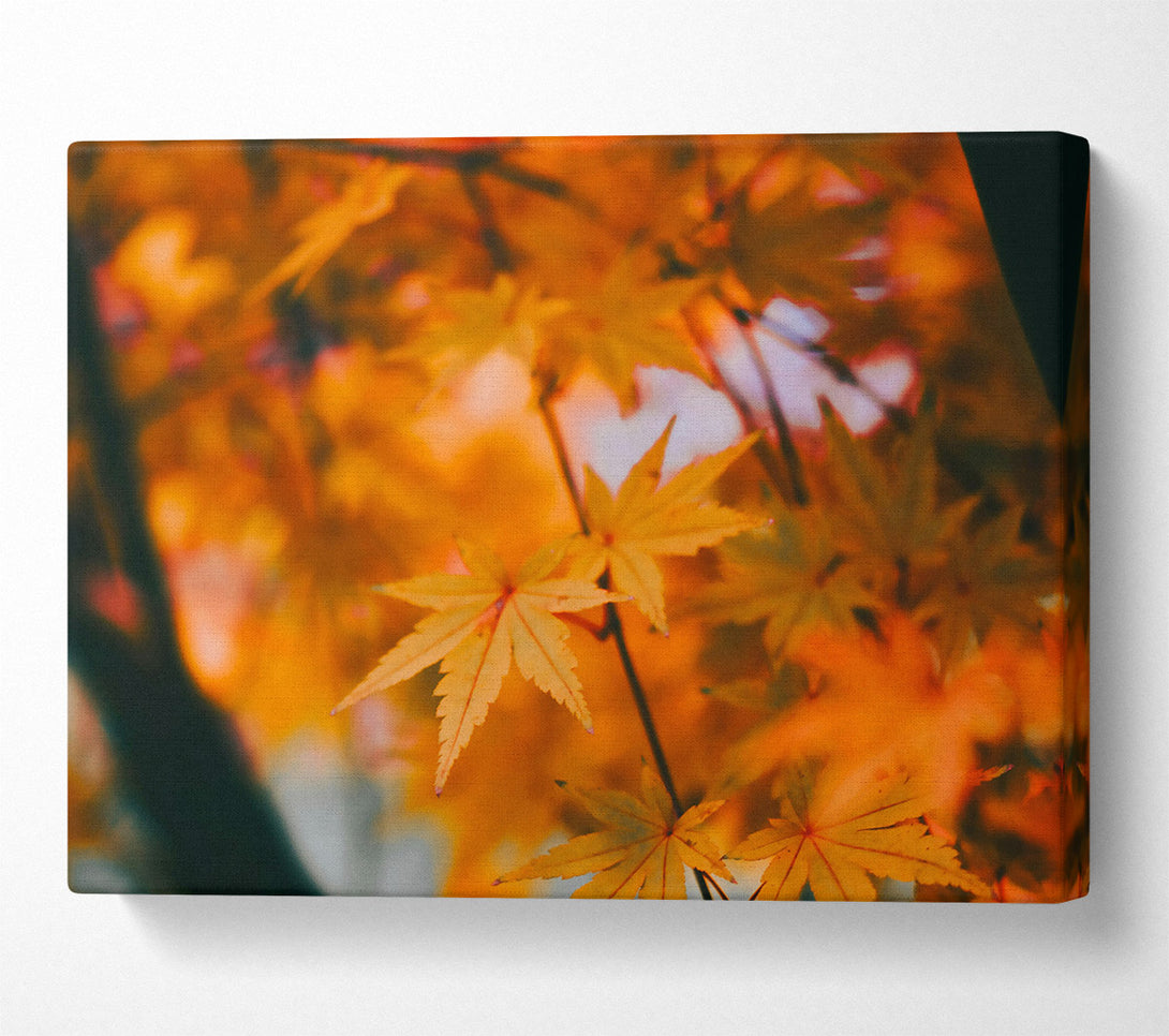  A Canvas Print of Golden Autumn Leaves Canvas Wall Art