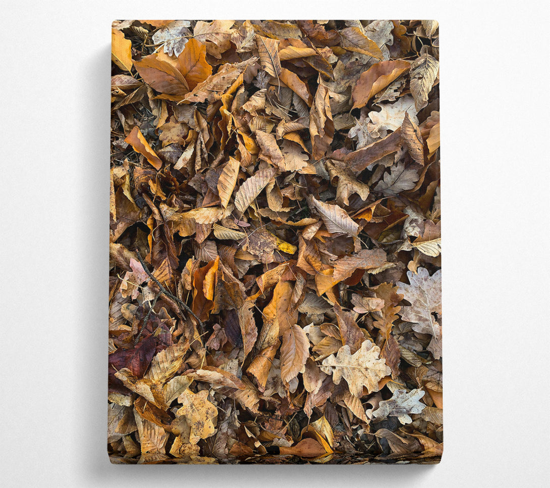  A Canvas Print of Golden Autumn Leaves Canvas Wall Art