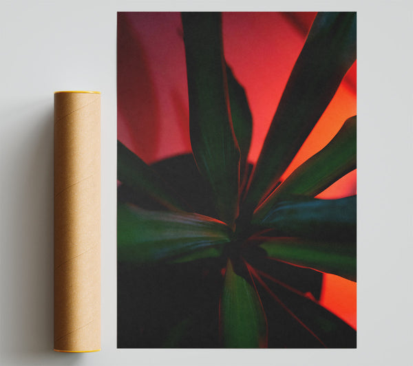 Red Hues, Green Leaves Print