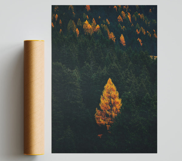 Golden Tree In The Dark Giclee Print
